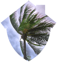 5f198ae005a5420f80f5f751_storms-2 5f198ae005a5420f80f5f751_storms-2